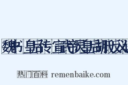 魏书·皇后传·宣武帝灵皇后胡氏反义词是什么意思的图片